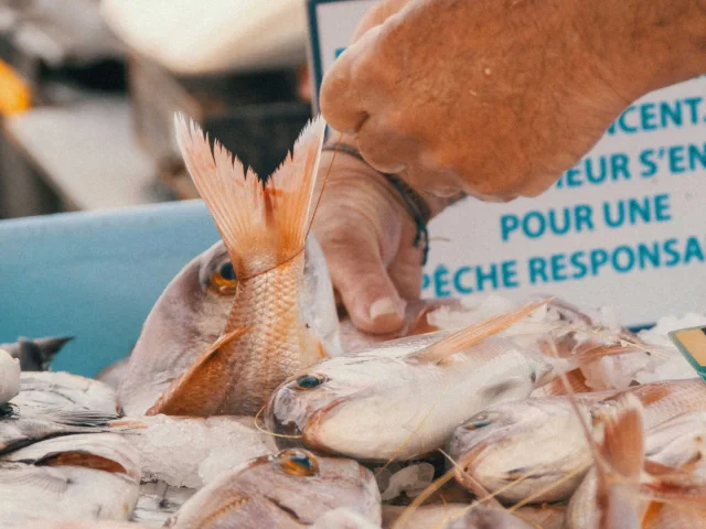A hand ties a fish to a sustainable fishing stall