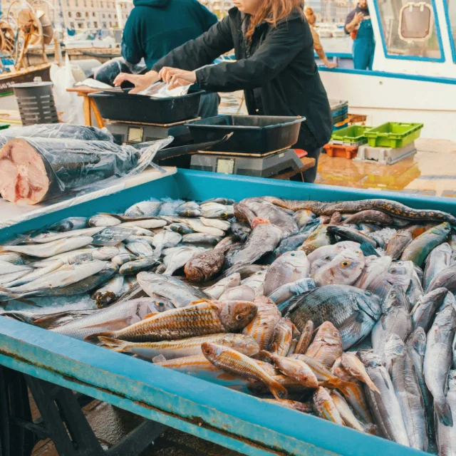 A stall at the fish market in Marseille's Old Port