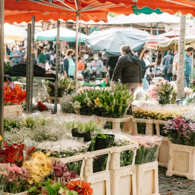 Flower market stall