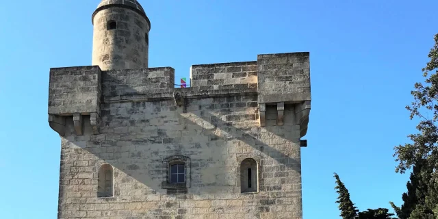 The Saint-Louis Tower