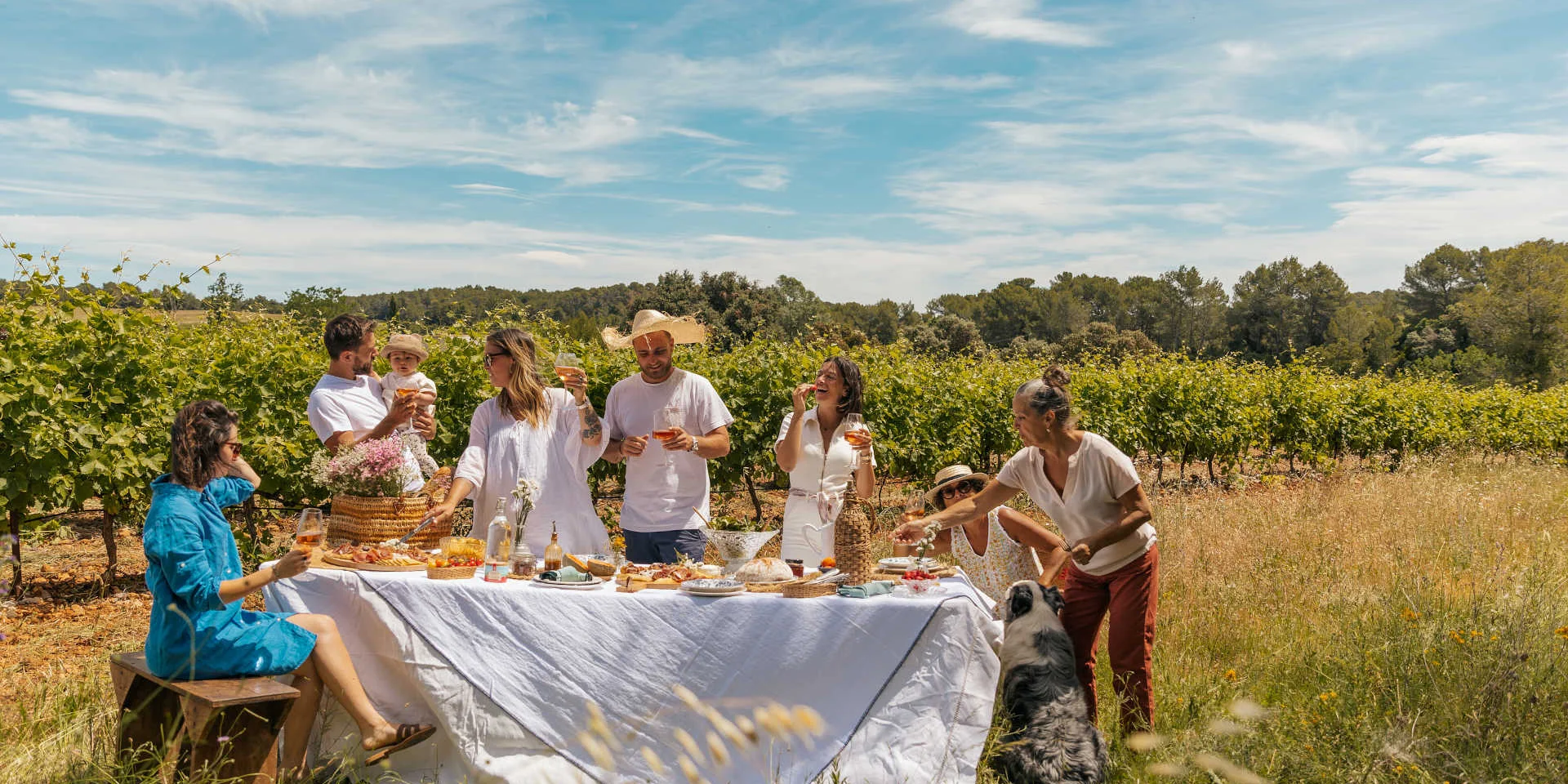 Eine Gruppe genießt ein Bankett in den Weinbergen der Provence während des Festivals „Vignobles en Scène“.
