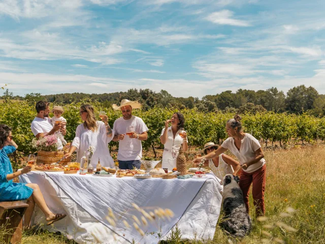 Un groupe participe à un banquet dans les vignes dans un domaine viticole de Provence.