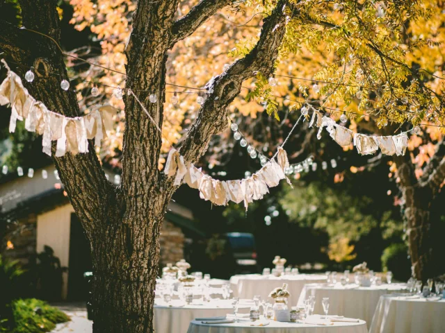 Festlich gedeckter Tisch für ein Einzigartige Bankette in der Provence