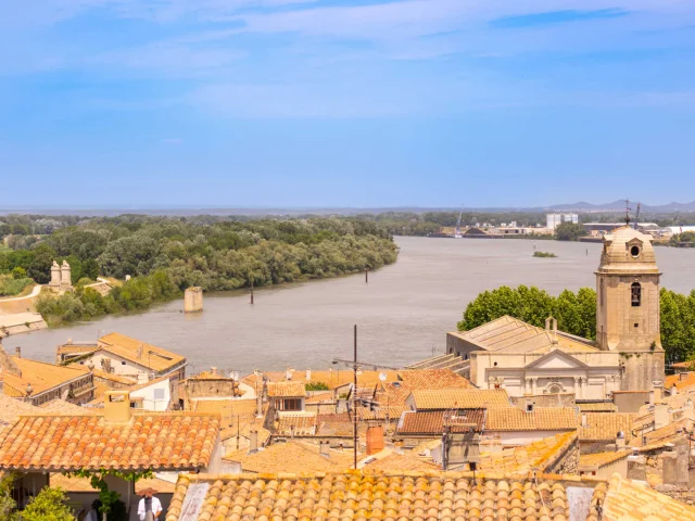 Toits et Rhône à Arles