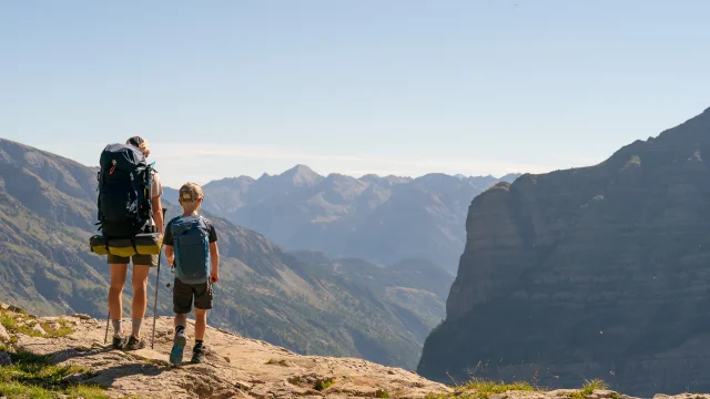 Van Rijnr 2024 43703