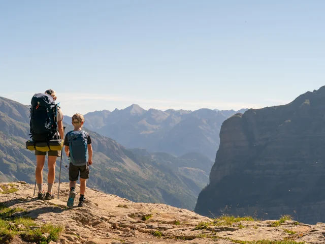 Van Rijnr 2024 43703