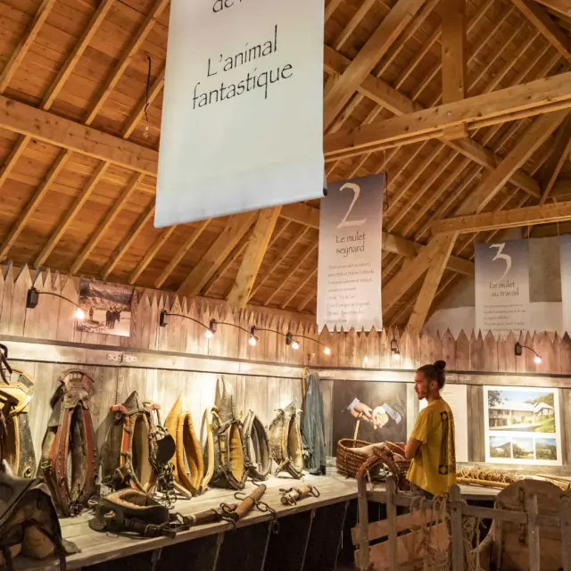 Vue de l'intérieur de la Maison du mulet