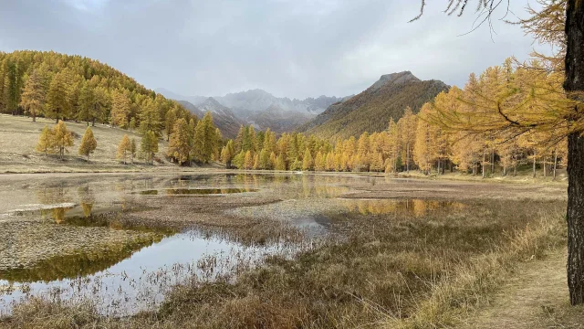 Panorama d'automne et mélèzes au lac de Roue à Arvieux dans le Queyras