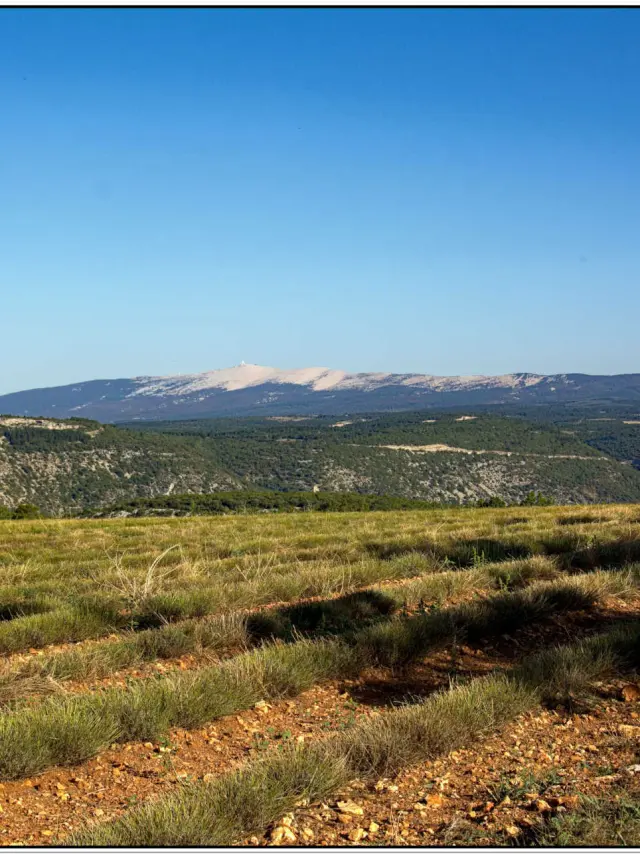 Chambre d'hôtes La Maguette Vaucluse Provence