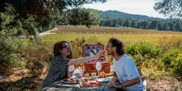 Pique-nique Domaine De Figuière