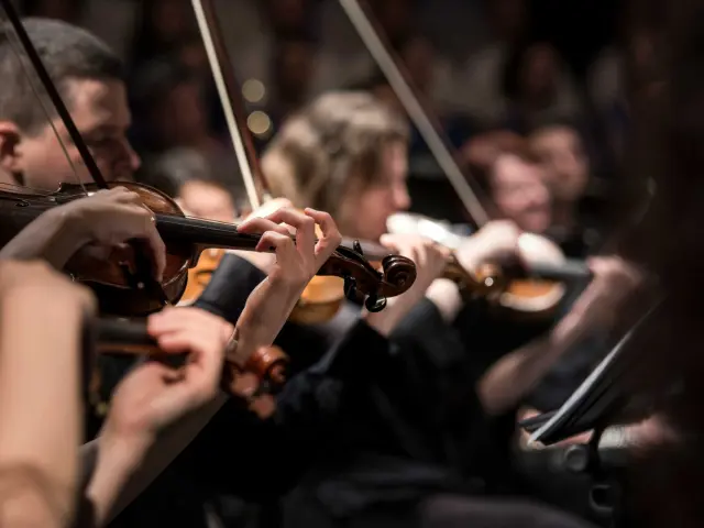 Geiger in einem Orchester