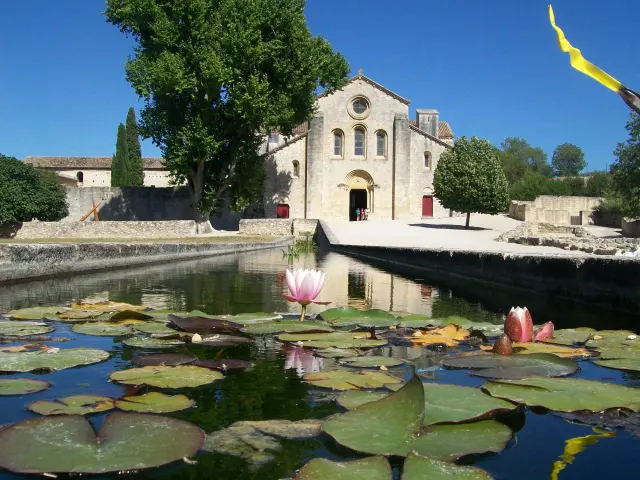 Die Abtei von Silvacane und Seerosen in La Roque d’Antheron