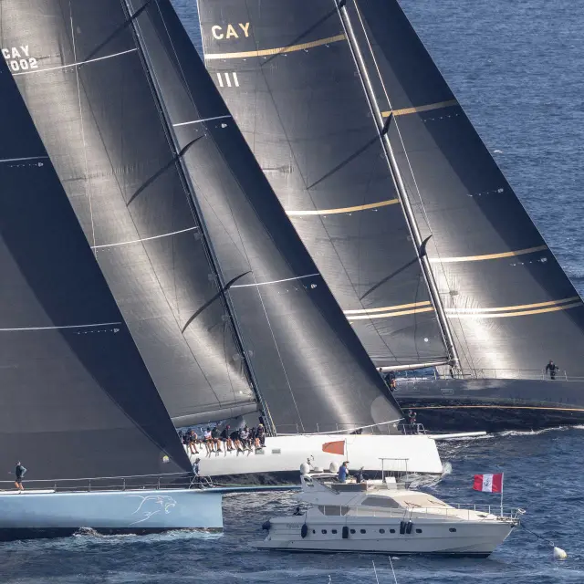 Régate de voiliers modernes aux voiles noires, Voiles de Saint-Tropez